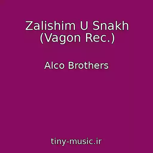 کاور آهنگ Zalishim U Snakh (Vagon Rec.) از Alco Brothers