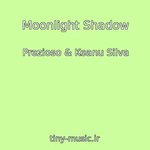 کاور آهنگ Moonlight Shadow از Prezioso & Keanu Silva