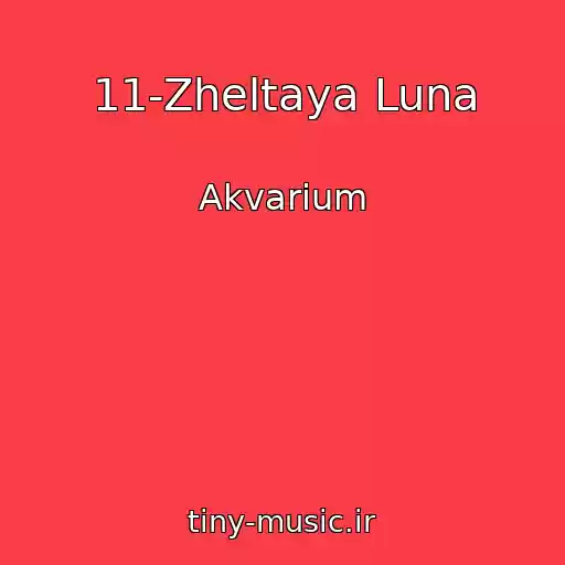 کاور آهنگ 11-Zheltaya Luna از Akvarium