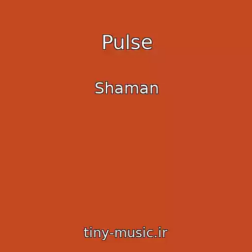 کاور آهنگ Pulse از Shaman