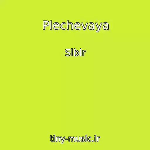 کاور آهنگ Plechevaya از Sibir