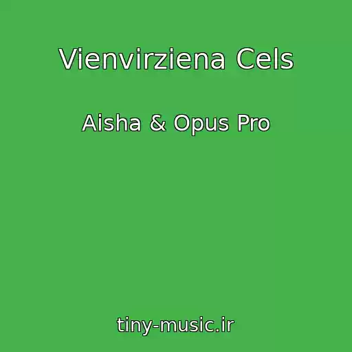 کاور آهنگ Vienvirziena Cels از Aisha & Opus Pro