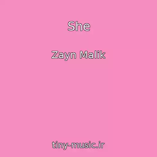 کاور آهنگ She از Zayn Malik