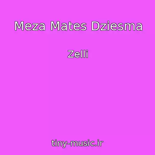 کاور آهنگ Meza Mates Dziesma از Zelli