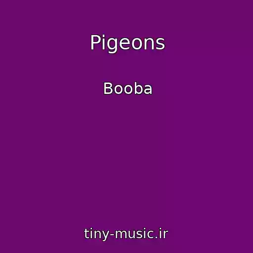 کاور آهنگ Pigeons از Booba
