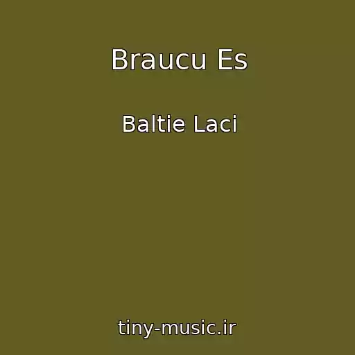 کاور آهنگ Braucu Es از Baltie Laci