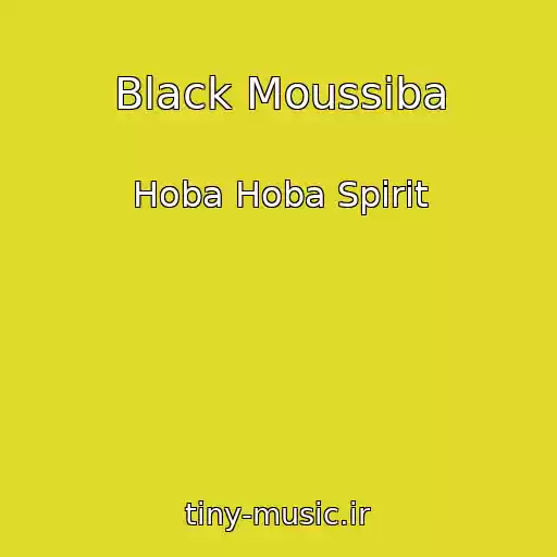 کاور آهنگ Black Moussiba از Hoba Hoba Spirit