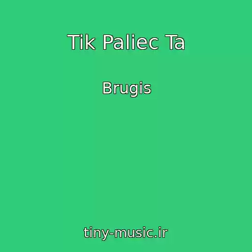 کاور آهنگ Tik Paliec Ta از Brugis