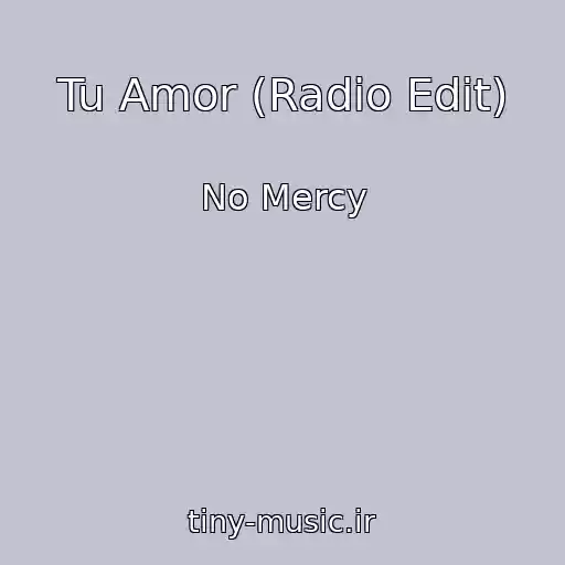 کاور آهنگ Tu Amor (Radio Edit) از No Mercy