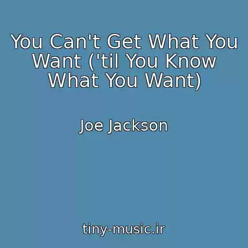 کاور آهنگ You Can't Get What You Want ('til You Know What You Want) از Joe Jackson