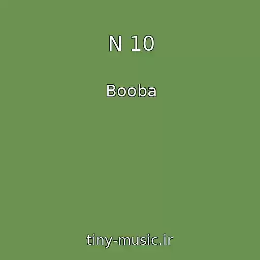 کاور آهنگ N 10 از Booba