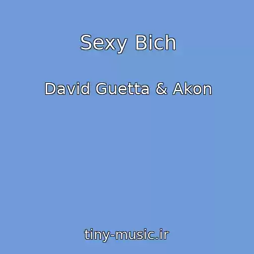 کاور آهنگ Sexy Bich از David Guetta & Akon