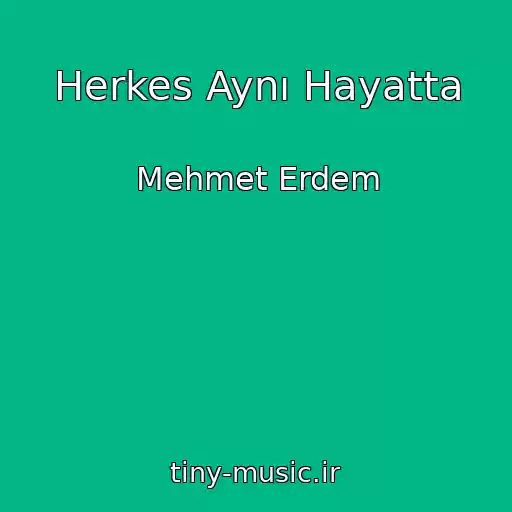 کاور آهنگ Herkes Aynı Hayatta از Mehmet Erdem