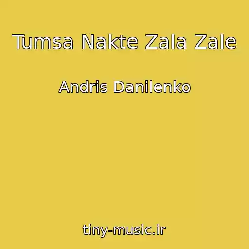 کاور آهنگ Tumsa Nakte Zala Zale از Andris Danilenko