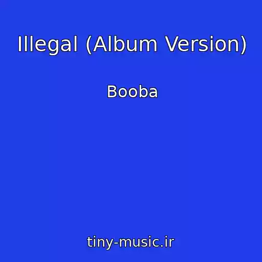 کاور آهنگ Illegal (Album Version) از Booba
