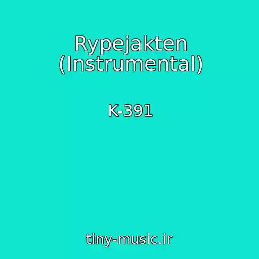 کاور آهنگ Rypejakten (Instrumental) از K-391