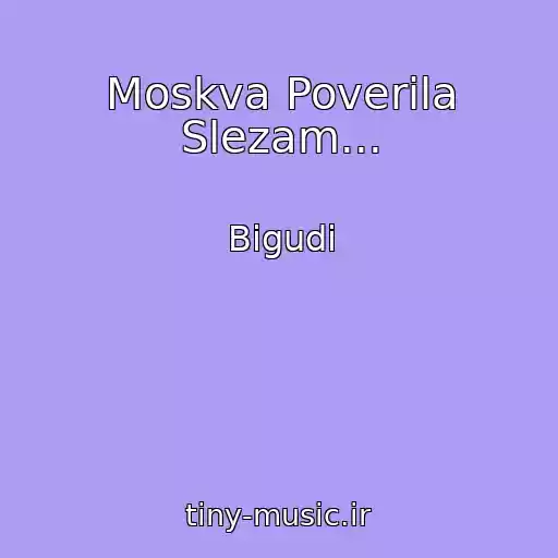 کاور آهنگ Moskva Poverila Slezam... از Bigudi