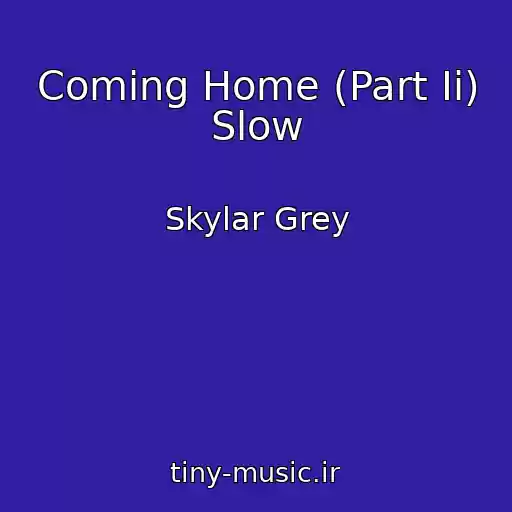 کاور آهنگ Coming Home (Part Ii) Slow از Skylar Grey