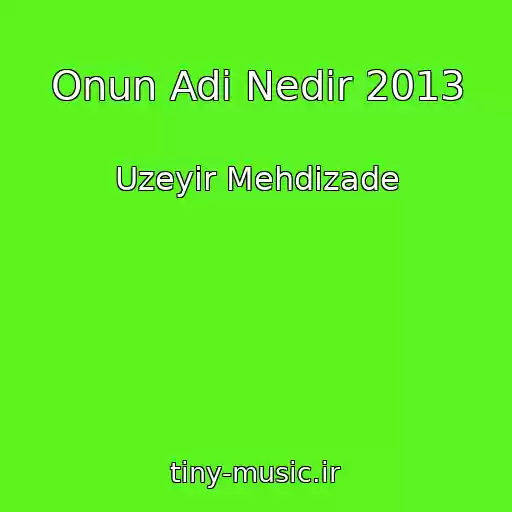 کاور آهنگ Onun Adi Nedir 2013 از Uzeyir Mehdizade