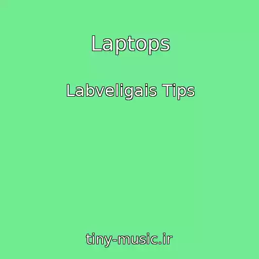 کاور آهنگ Laptops از Labveligais Tips
