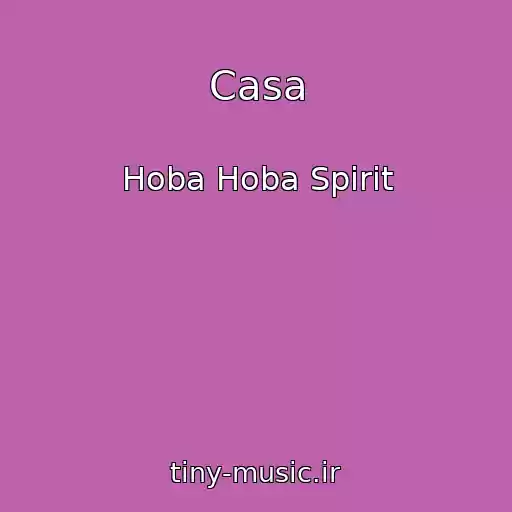 کاور آهنگ Casa از Hoba Hoba Spirit