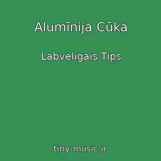 کاور آهنگ Alumīnija Cūka از Labveligais Tips