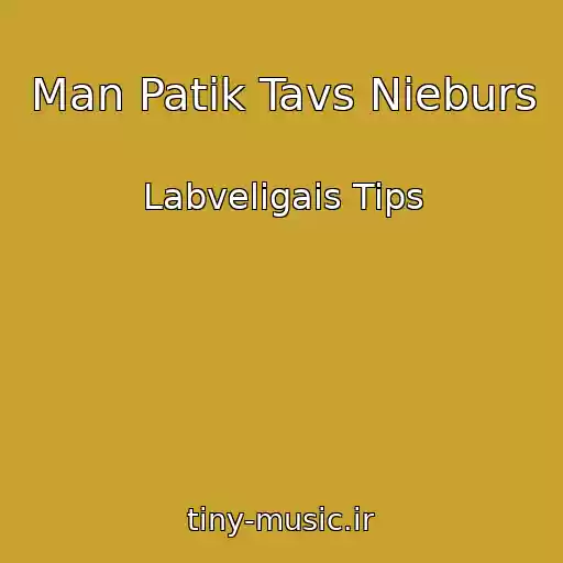 کاور آهنگ Man Patik Tavs Nieburs از Labveligais Tips