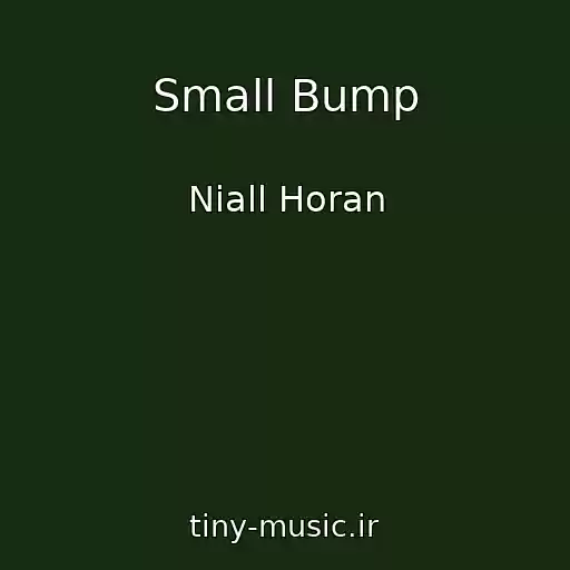 کاور آهنگ Small Bump از Niall Horan