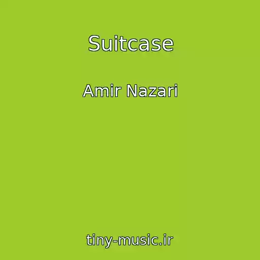کاور آهنگ Suitcase از Amir Nazari
