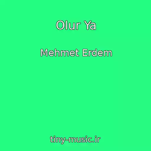 کاور آهنگ Olur Ya از Mehmet Erdem