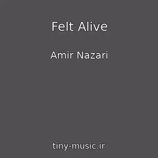 کاور آهنگ Felt Alive از Amir Nazari