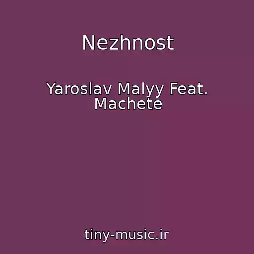 کاور آهنگ Nezhnost از Yaroslav Malyy Feat. Machete