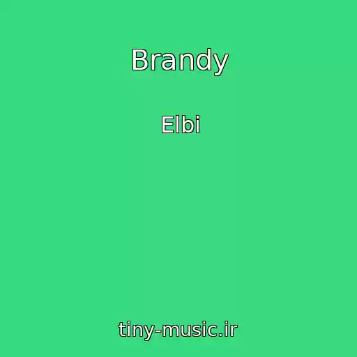 کاور آهنگ Brandy از Elbi