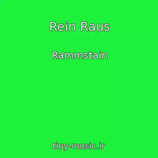 کاور آهنگ Rein Raus از Rammstain
