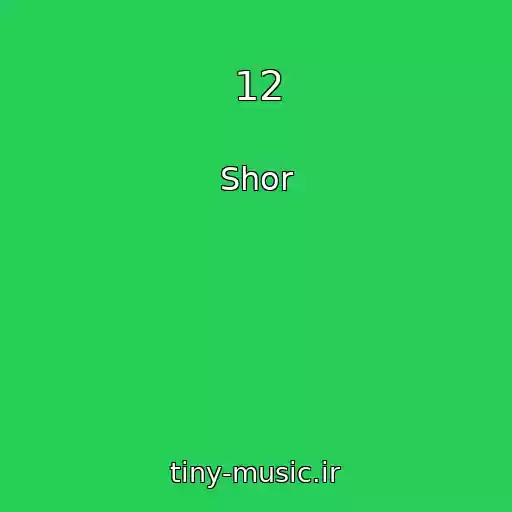 کاور آهنگ 12 از Shor