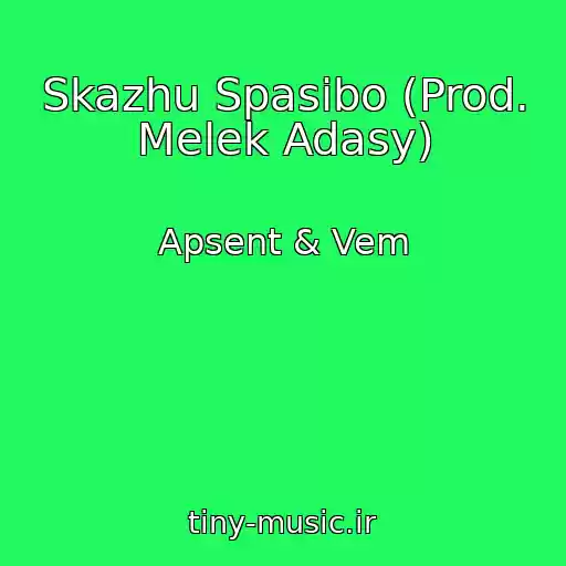 کاور آهنگ Skazhu Spasibo (Prod. Melek Adasy) از Apsent & Vem