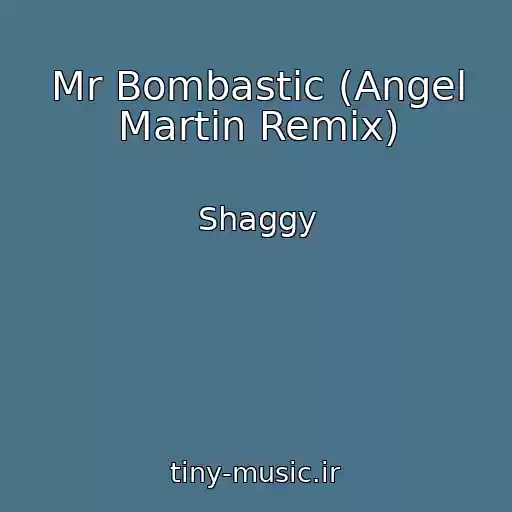 کاور آهنگ Mr Bombastic (Angel Martin Remix) از Shaggy