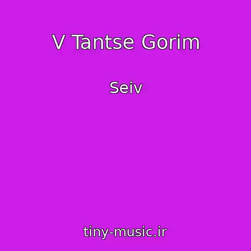 کاور آهنگ V Tantse Gorim از Seiv