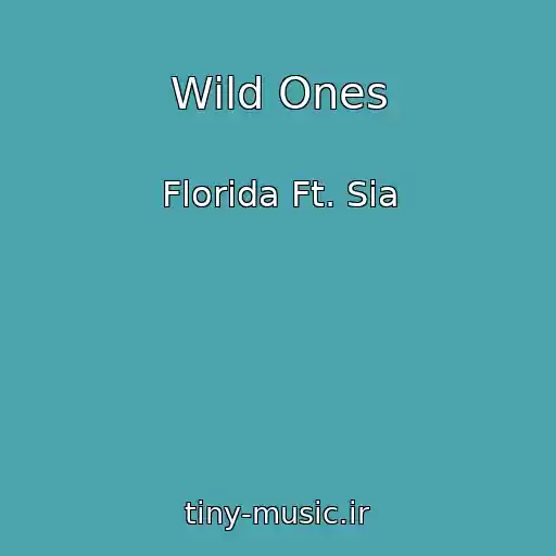 کاور آهنگ Wild Ones از Florida Ft. Sia