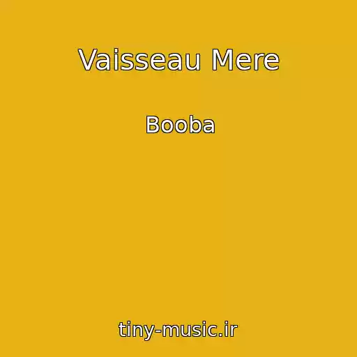 کاور آهنگ Vaisseau Mere از Booba