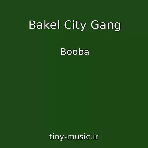 کاور آهنگ Bakel City Gang از Booba