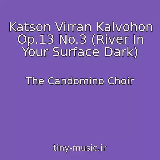 کاور آهنگ Katson Virran Kalvohon Op.13 No.3 (River In Your Surface Dark) از The Candomino Choir