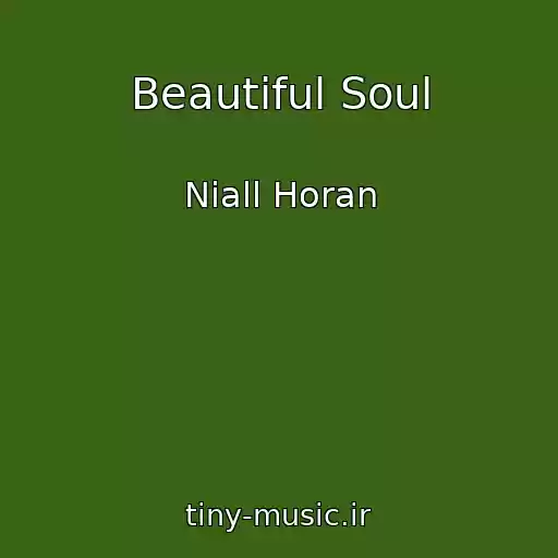 کاور آهنگ Beautiful Soul از Niall Horan