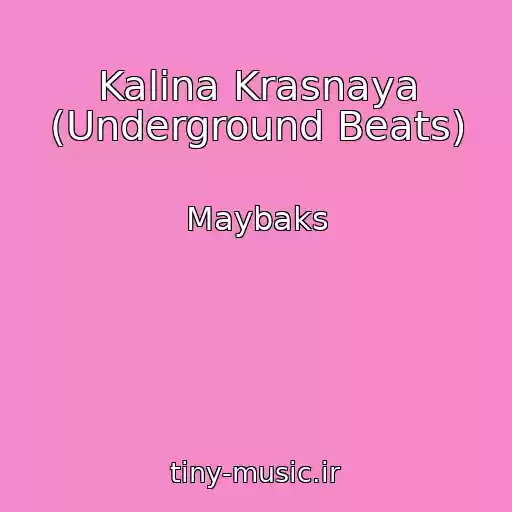 کاور آهنگ Kalina Krasnaya (Underground Beats) از Maybaks