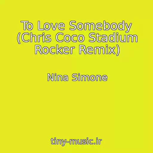 کاور آهنگ To Love Somebody (Chris Coco Stadium Rocker Remix) از Nina Simone