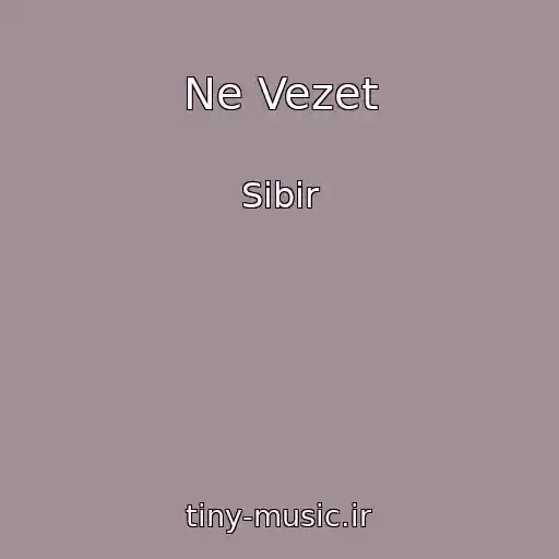 کاور آهنگ Ne Vezet از Sibir