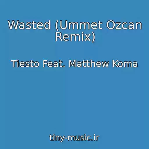 کاور آهنگ Wasted (Ummet Ozcan Remix) از Tiesto Feat. Matthew Koma