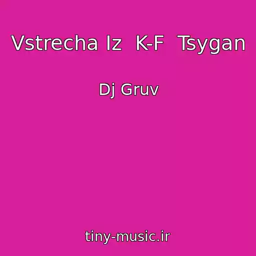 کاور آهنگ Vstrecha Iz  K-F  Tsygan از Dj Gruv