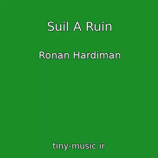 کاور آهنگ Suil A Ruin از Ronan Hardiman