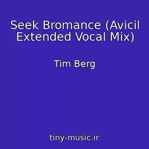 کاور آهنگ Seek Bromance (Avicil Extended Vocal Mix) از Tim Berg